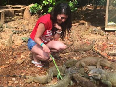 IGUANA PARK, SLOTHS PARK & HYDRO-BIKES The water trails