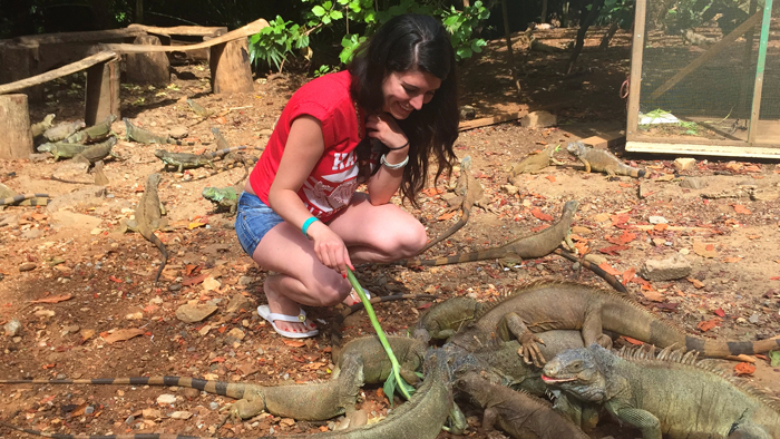 IGUANA PARK, SLOTHS PARK & HYDRO-BIKES The water trails