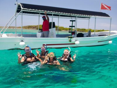 THE REEF EXPLORER // Discover the Ocean Wonders