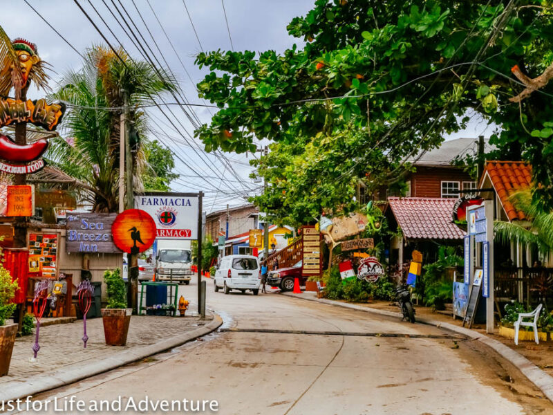 ROATAN HIGHLIGHTS COMBO: ANIMALS, CULTURE & BEACH