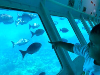 GLASS BOTTOM BOAT // Maya Reef Voyager