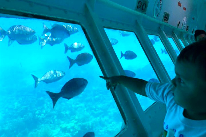 GLASS BOTTOM BOAT // Maya Reef Voyager