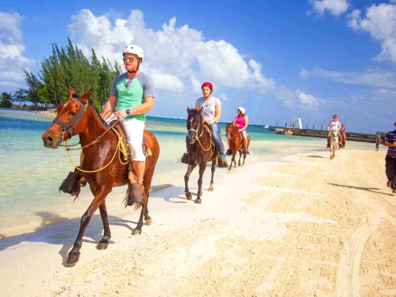 HORSEBACK RIDING // Wild Rein Adventures