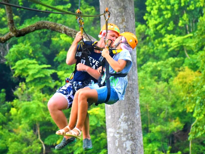 ZIP-LINING & SLOTHS COMBO // Adrenaline and Fun