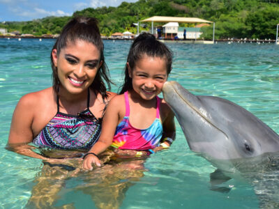 DOLPHINS ENCOUNTERS // Fun for Everybody