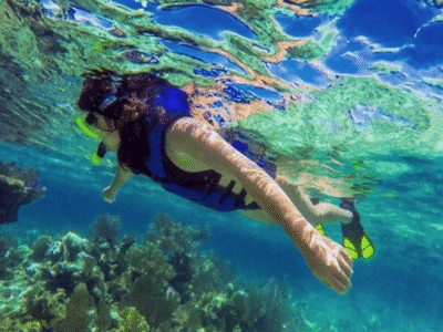 REEF SNORKELING // Discover a Hidden World Beneath the sea