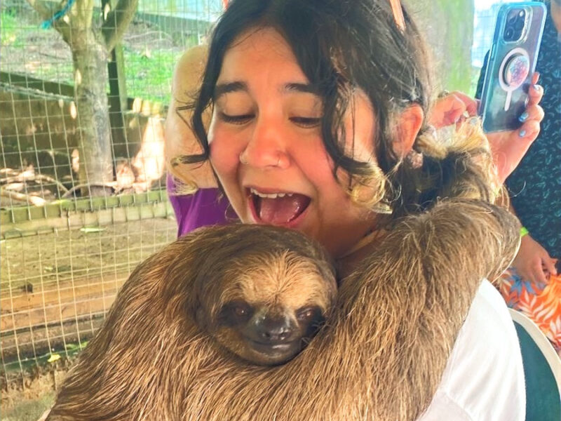 ZIP-LINING & SLOTHS COMBO // Adrenaline and Fun