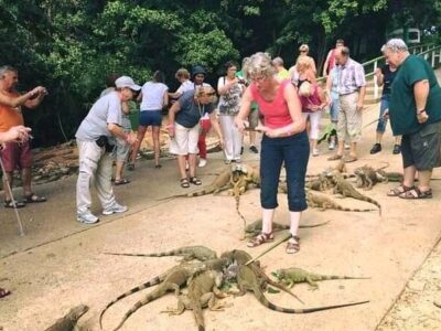 IGUANA PARK, SLOTHS PARK & HYDRO-BIKES The water trails