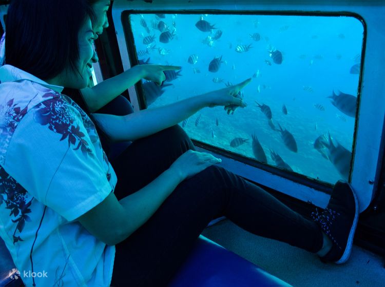 GLASS BOTTOM BOAT // Maya Reef Voyager