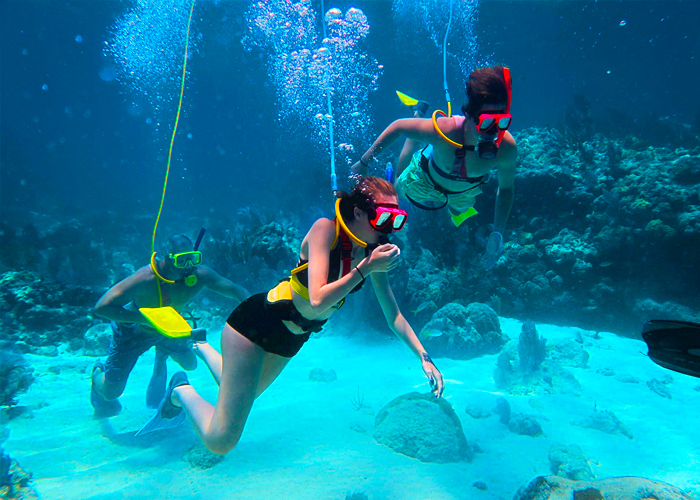 SNUBA DAY // No Diving Certification Required...