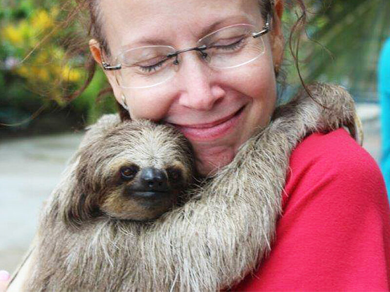 The Ultimate Roatan Triple Threat: Animals, Zipline & ATVs