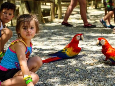 ANIMAL PARK // Sloths, Monkeys and More