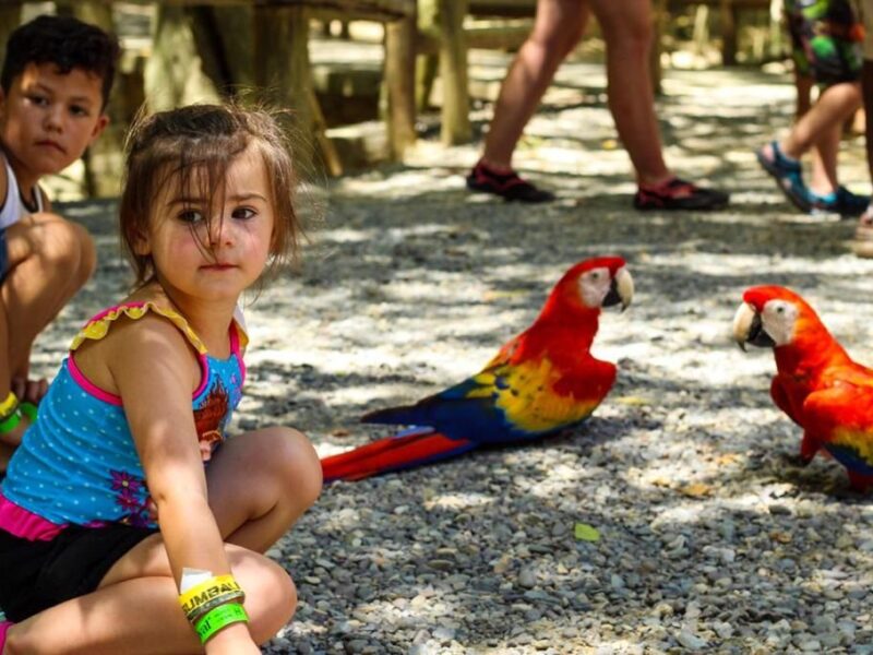 ANIMAL PARK // Sloths, Monkeys and More