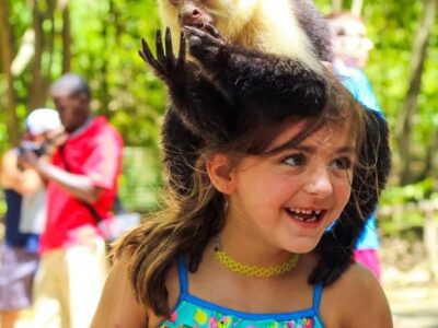 THE BEST OF ROATAN // Sloths, Monkeys and Snorkel