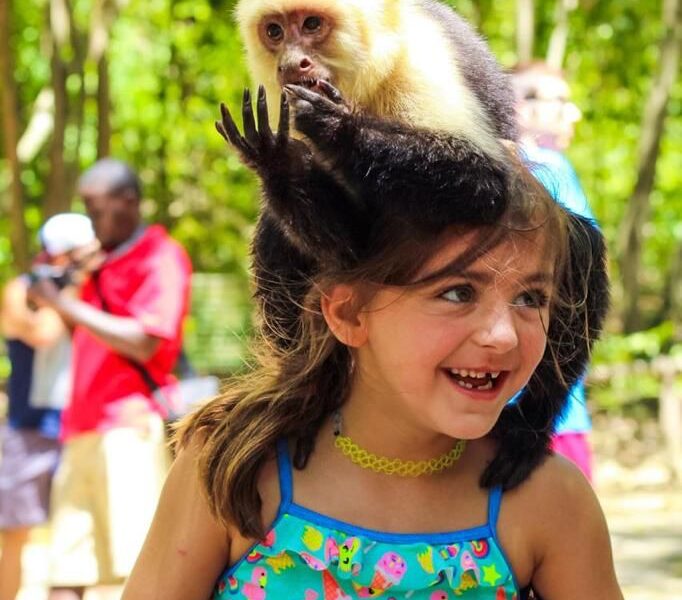 THE BEST OF ROATAN // Sloths, Monkeys and Snorkel