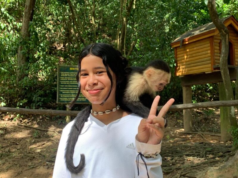 ANIMAL PARK // Sloths, Monkeys and More