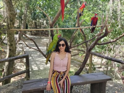 ANIMAL PARK // Sloths, Monkeys and More