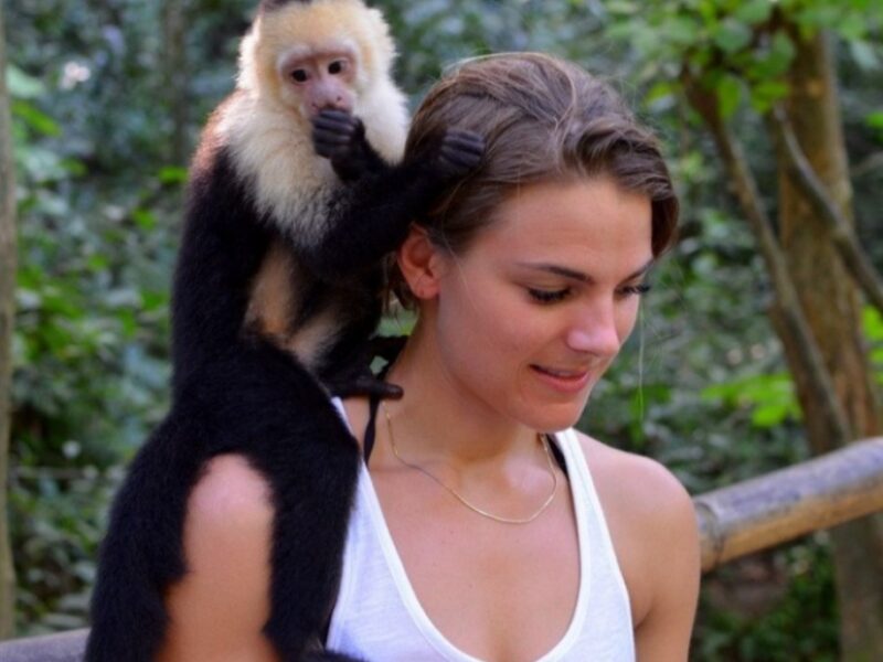 ANIMAL PARK // Sloths, Monkeys and More