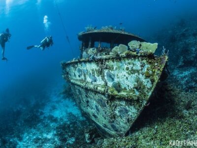 OPEN WATERS DIVING // THE GREAT BARRIER REEF