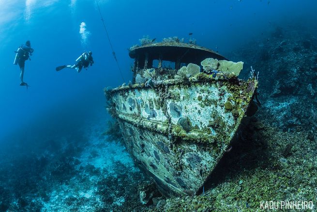 OPEN WATERS DIVING // THE GREAT BARRIER REEF